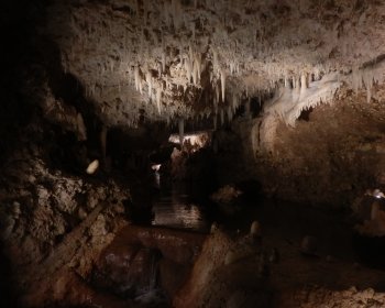 image Harrison's cave 