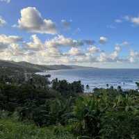 Huitième journée: festival d’agriculture ( rencontres avec les acteurs loco et aussi de Guyana)