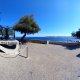 II  La Cobla et La Sardane