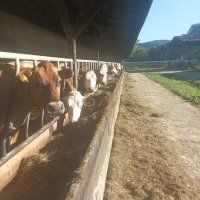Immersion au coeur des montagnes slovaques
