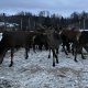 Jour 10 du périple en Norvège 