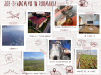 Mobilité linguistique en Roumanie - Job shadowing - Jour 3-4