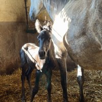 Journée stage en Slovénie 