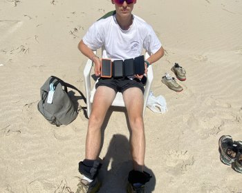 image Jungle, moulin et babybel 🐚🧀