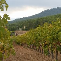 L'air catalan, Chapitre 4