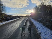 L'entraînement 