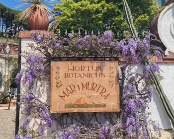 image L'entr&eacute;e du parc 