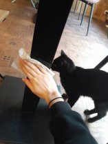 Photo d'Opale qui m'aide &agrave; nettoyer les tables le matin