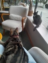 Photo de Papy qui fait prendre des pauses