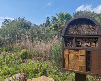 image L'h&ocirc;tel &agrave; insectes 