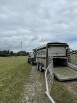 une voiture et une bétaillère dans un champs