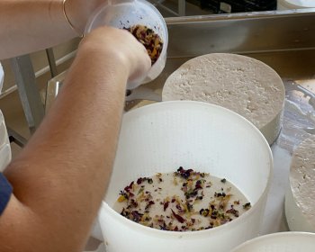 image La fromagère en action