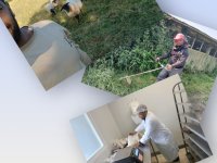 La joie du stage se manifeste dans le travail et le m&eacute;lange avec la nature avec toutes ses composantes-sol, arbres et animaux...