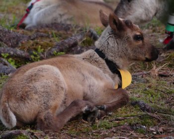 image La suite de notre aventure 