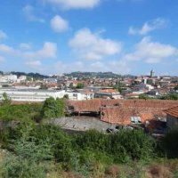 La viticulture au portugal