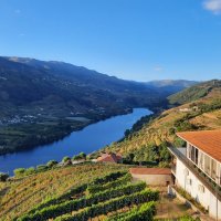 La viticulture au portugal Fin
