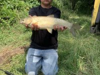 Last day in the fish farm