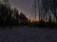 Le d&eacute;but de la f&eacute;&eacute;rie : deuxi&egrave;me et dernier mois au milieu des huskys sib&eacute;riens.