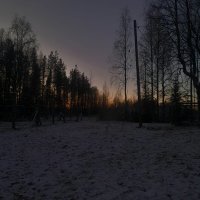 Le début de la féérie : deuxième et dernier mois au milieu des huskys sibériens.