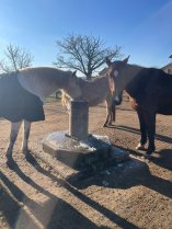 image IMG20250116WA0005.jpg (0.6MB)