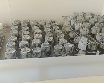 image Le fromage cendr&eacute; Une d&eacute;couverte fran&ccedil;aise