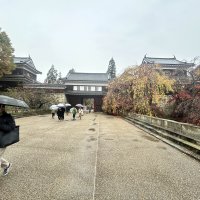 Le Japon, un paysage vaste