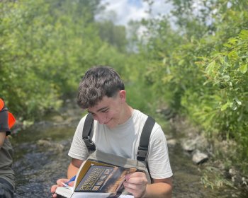 image Le patron en plein travail 