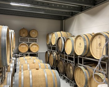 image Les barriques , avec de d&eacute;licieux &eacute;lixirs 