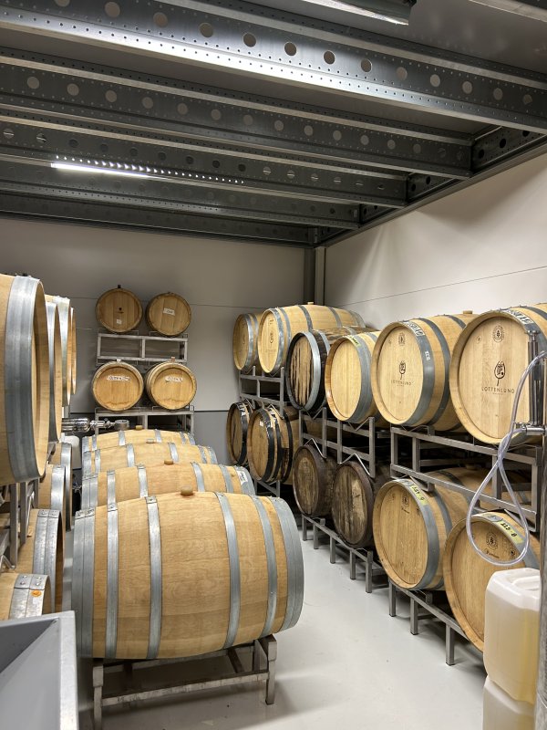 Les barriques , avec de délicieux élixirs 