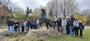 Les chevaux 