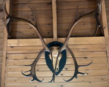 image Les derniers jours &hellip;