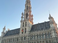 Les Éclats d'Or de la Grande Place de Bruxelles