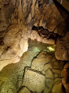 Les grottes de Vallorbe 