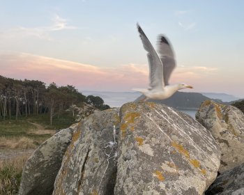 image Les plus photog&eacute;niques ! 