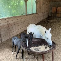 Ma journée en Slovénie