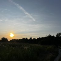 Mardi semaine 2 : I was afraid for my life