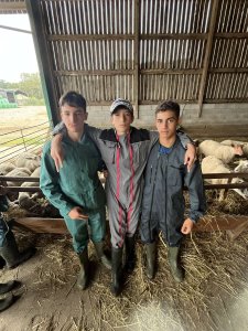 Maxence Roy