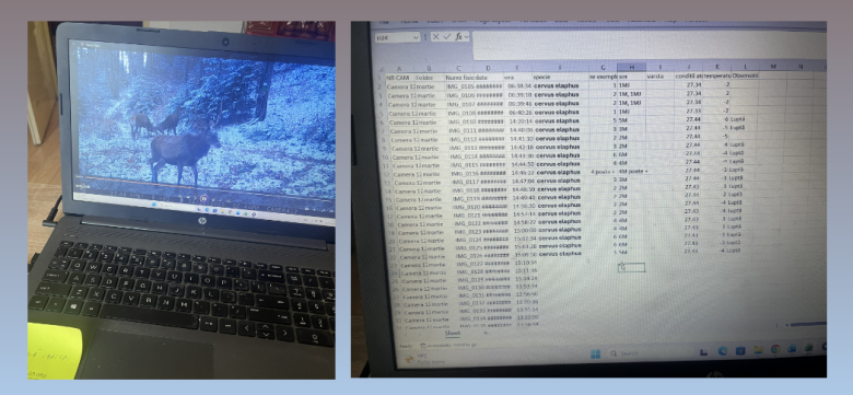 informatique