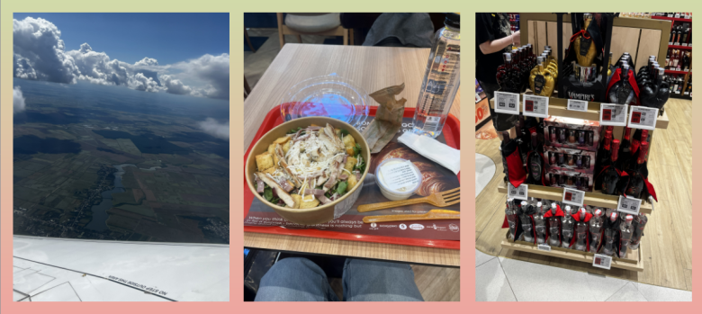 Souvenirs, paysage vu de l'avion et repas à l'aéroport