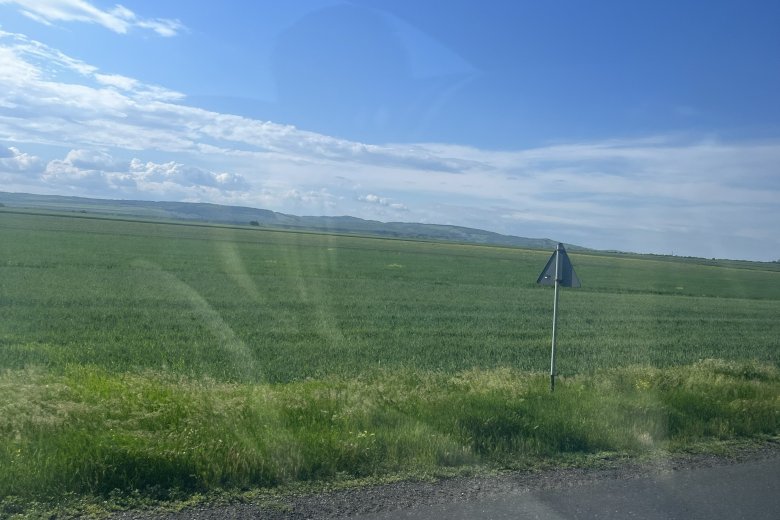 paysage plat