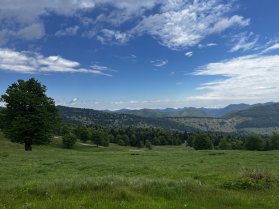 Vue depuis le plus haut sommet du parc