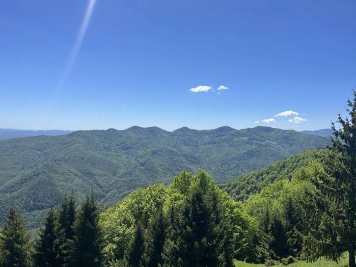 Vue panoramique des montagnes