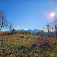 Mon quotidien d'handler