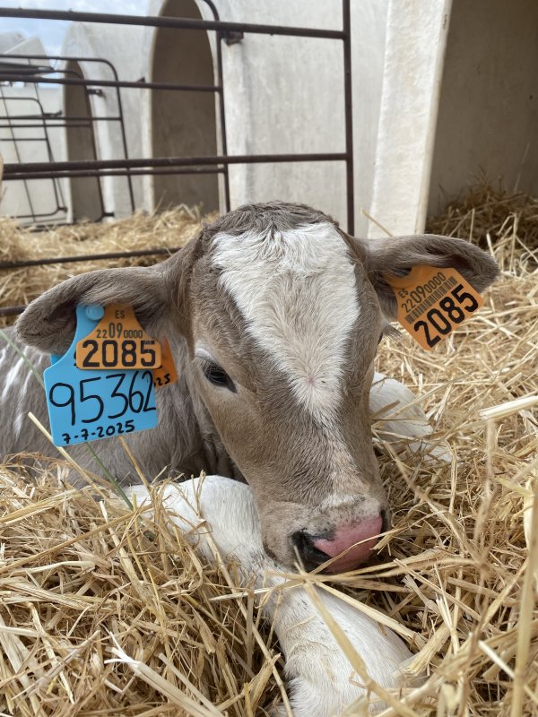 Mon s&eacute;jour dans une ferme proche de girone 