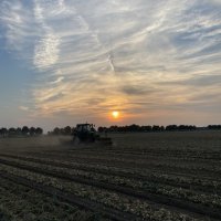 Mon stage dans une exploitation agricole néerlandaise 