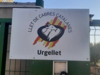 Chapitres 5 & 6 : Une journée de travail  à Urgellet et mon retour en France.