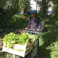 Un ambassadeur béninois à Valabre (3) : l'apothéose !