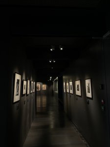 Musse Soulages in Rodez