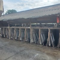 Nettoyage des niches à veaux