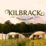 Notre stage en Irlande dans une ferme de fruits et légumes biologiques (Kilbrack Farm)